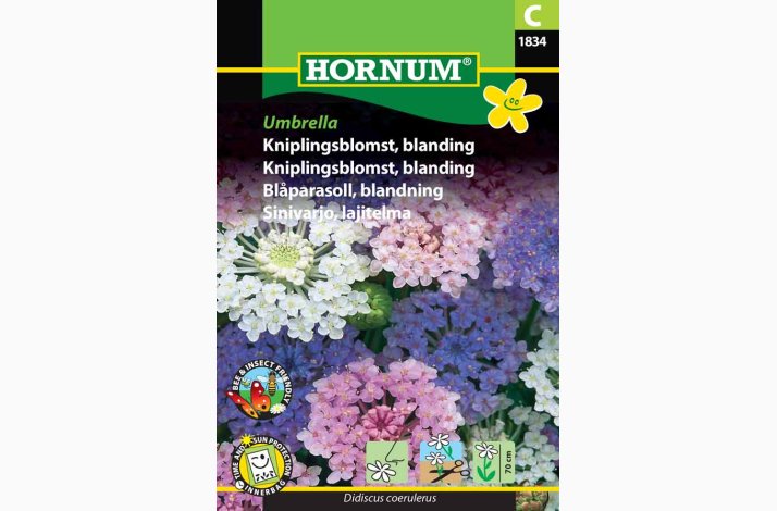 Kniplingsblomst, blanding, Umbrella (min. 30 fr)