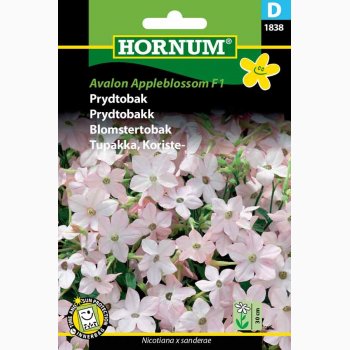 Prydtobak, Avalon Appleblossom F1 (min. 35 fr)