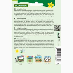 Pfugleblomst, bl., Peacock Beauty (min. 30 fr)