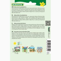 Blomsterfr Gazania New Day Strawberry Shortcake Mixture  Pfugleblomst (min. 10 fr)