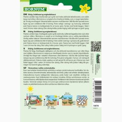 Irlands-klokke Molucella Tragtbger (min. 50 fr)