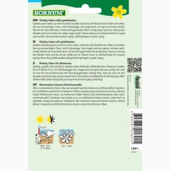 Knautia Arvensis-Blhat (min 70 fr)