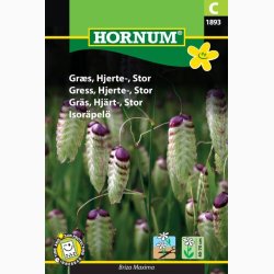 Prydgrs, hjertegrs (min. 35 fr)