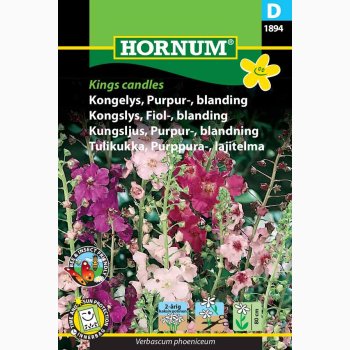 Kongelys, Purpurblanding Kings candles (min. 100 fr)