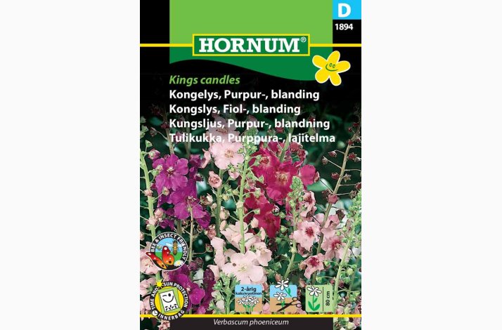 Kongelys, Purpurblanding Kings candles (min. 100 fr)