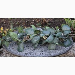 Kunstig Plante Eucalyptus 70 cm Grn med gr nuancer