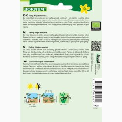 kologiske fr Koriander (min. 50 fr)