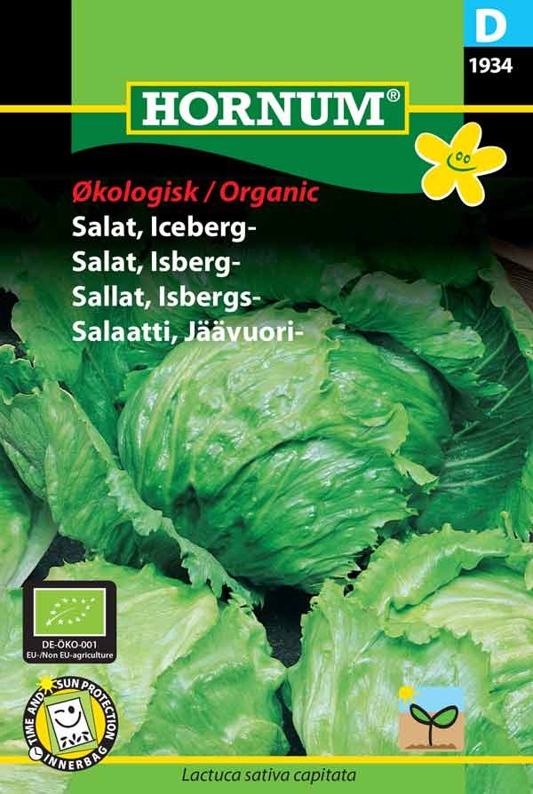 Økologiske Økologisk Salat, Icebergsalat, Saladin - Salat - Salater - - Frøtorvet ApS