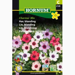 Hrblanding Charmer Mix - Hrblomst