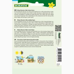 Morgenfrue Bronze Beauty (min. 40 fr)