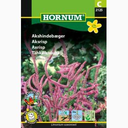 Akshindebger ( min. 35 fr)