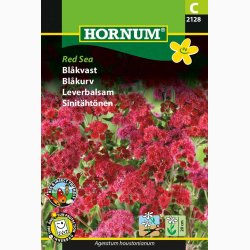 Blkvast Red Sea - Blkvast (min.150 fr)