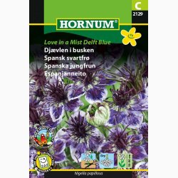 Djvlen i busken Love in a Mist Delft Blue (min. 40 fr)