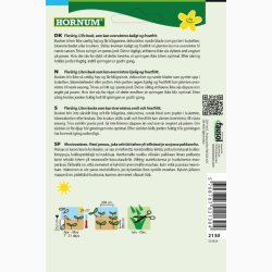 Eukalyptus Baby Blue - Eukalyptus (min. 5 fr)