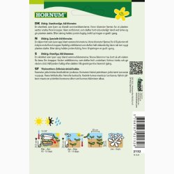 Floks, Sommer-Beauty Blue (min. 50 fr)