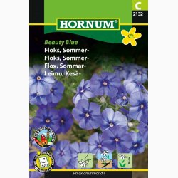 Floks, Sommer-Beauty Blue (min. 50 fr)
