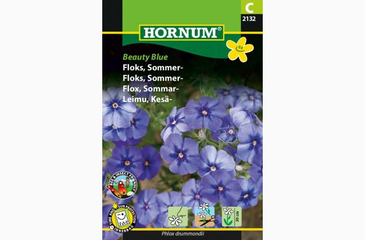 Floks, Sommer-Beauty Blue (min. 50 fr)