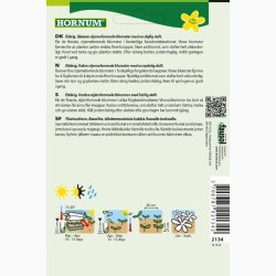 Floks, Sommer-, blanding Twinkle Stars mix (min. 50 fr)