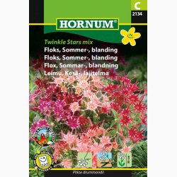 Floks, Sommer-, blanding Twinkle Stars mix (min. 50 fr)