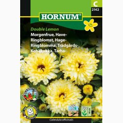 Morgenfrue, Have-Double Lemon (min 70 fr)