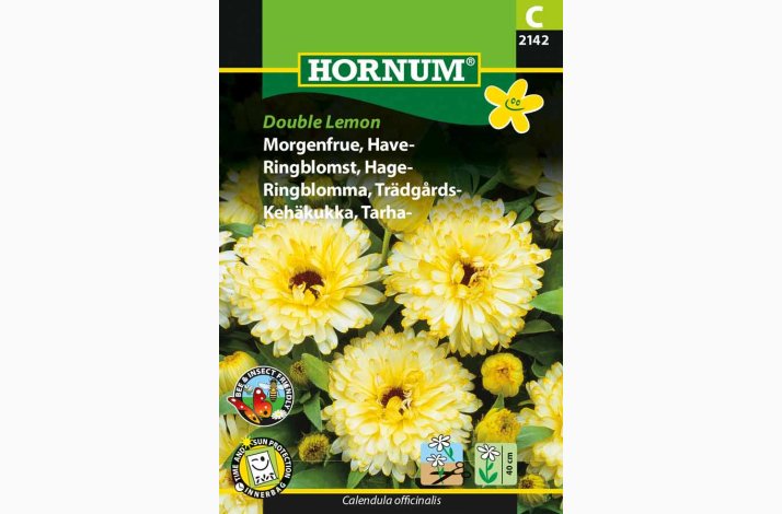 Morgenfrue, Have-Double Lemon (min 70 fr)