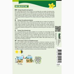 Silene dioica - Dag-Pragtstjerne (min. 150 fr)