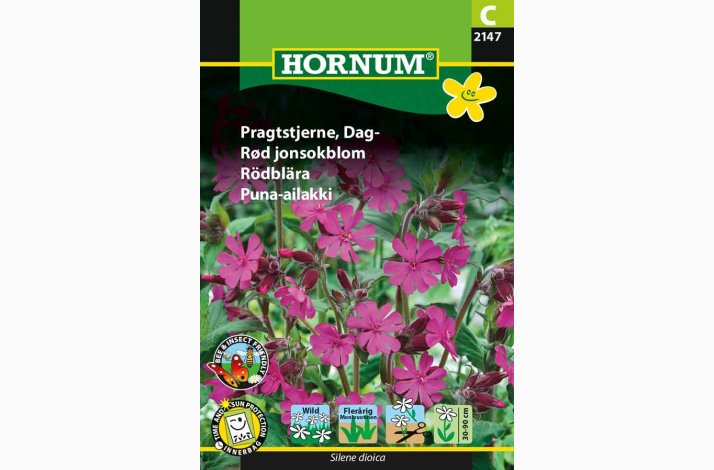 Silene dioica - Dag-Pragtstjerne (min. 150 fr)