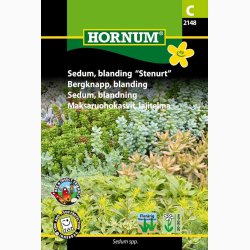 Sedum, blanding  Stenurt (min 250 fr)