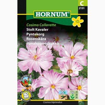 Stolt Kavaler, Cosimo Collarette (min, 40 fr)