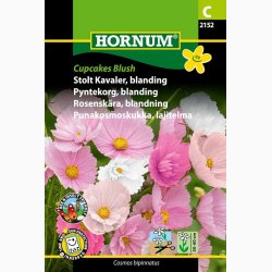 Stolt Kavaler, Cupcakes Blush (min. 40 Fr)