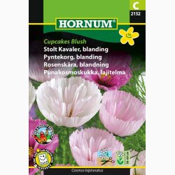 Stolt Kavaler, Cupcakes Blush (min. 40 Fr�)