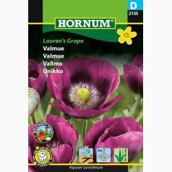 Valmue Lauren's Grape (min. 300 fr)