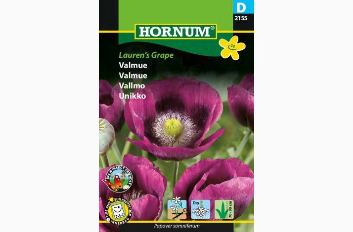 Valmue Lauren's Grape (min. 300 fr)