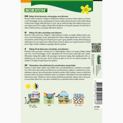 Petunia, Have-, Blackberry F1 (10 frpiller)