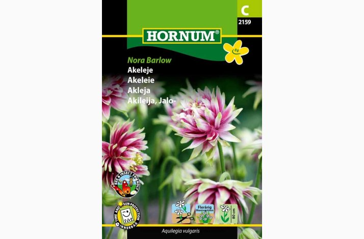 Akeleje Nora Barlow (min 250 fr)
