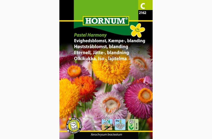 Evighedsblomst, Kmpe-, blanding Pastel Harmony ( min. 375 fr)