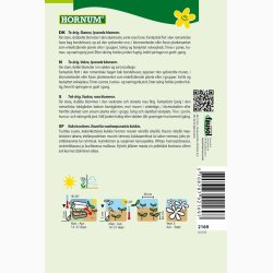 Stokrose Charters Strain Light Rose (min 100 fr)