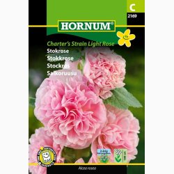 Stokrose Charters Strain Light Rose (min 100 fr)