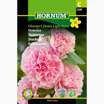 Stokrose Charters Strain Light Rose (min 100 fr)