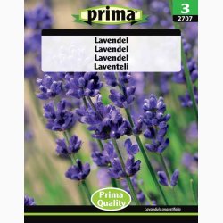 Lavandula augustifolia - Lavendel (P)