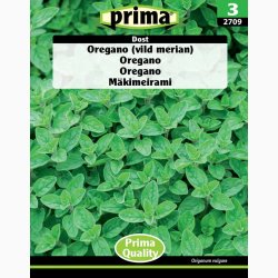 Oregano vild merian - Dost (P)