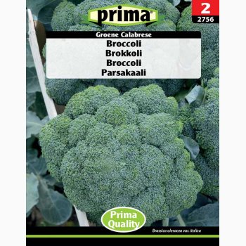 Broccoli Groene Calabrese (P) (min. 80 fr)