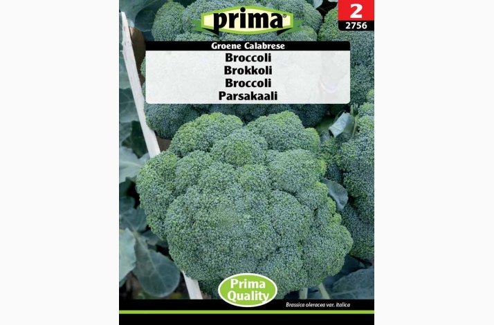 Broccoli Groene Calabrese (P)
