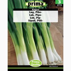 Pibel�g-, Kaigaro Fr� (r�kker til ca. 150 planter)