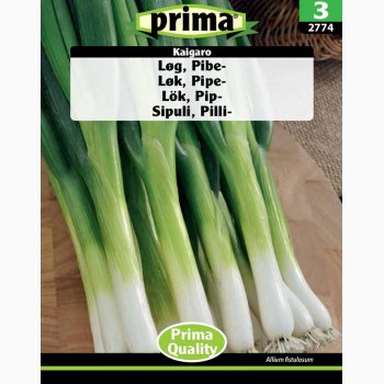 Pibelg-, Kaigaro (P) (min 150 fr)