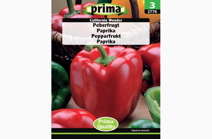 Peberfrugt, California Wonder (P) (min. 30 fr)
