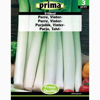 Porrefr Allium porrum DElbeuf - Porre (P) ( min 150 fr)