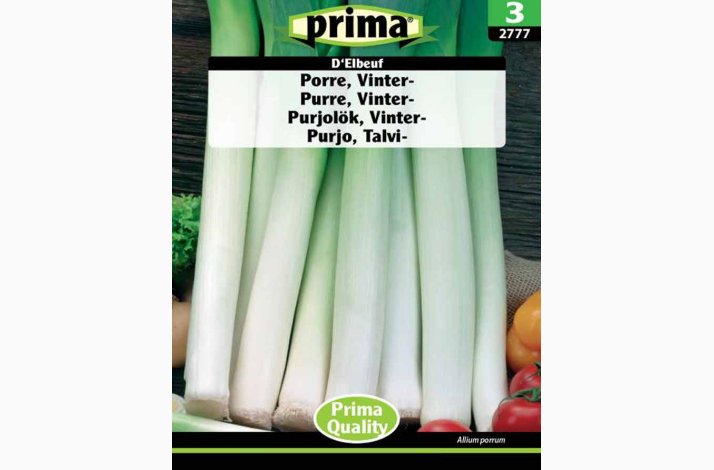 Porrefr Allium porrum DElbeuf - Porre (P) ( min 150 fr)