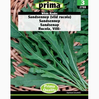 Vild rucola, sandsennep (P) ( min. 200 fr)