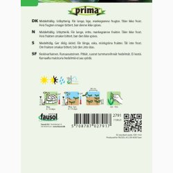 Squashfr Black Beauty (P) (Min. 7 fr)